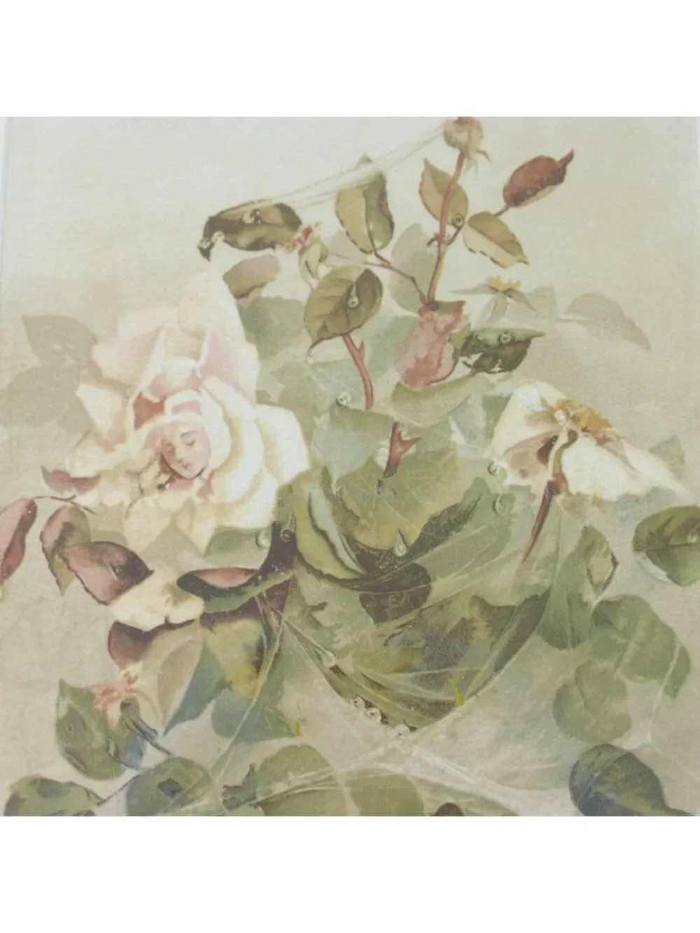 Antique 1889 Louis Prang Chromolithograph Pink Roses Ellen Thayer Fisher Framed